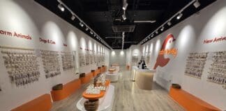 Robin Valley opens first store in Manchester Arndale following Start Up Loan success