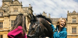 Founder led Cotswold Fox secures investment from Journey by Behrens