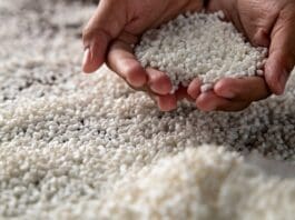 Candee.Bio & Chestnut Biopolymers tackle the issue of fossil plastics