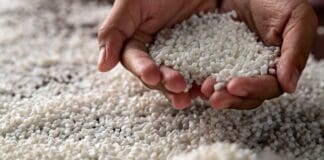 Candee.Bio & Chestnut Biopolymers tackle the issue of fossil plastics