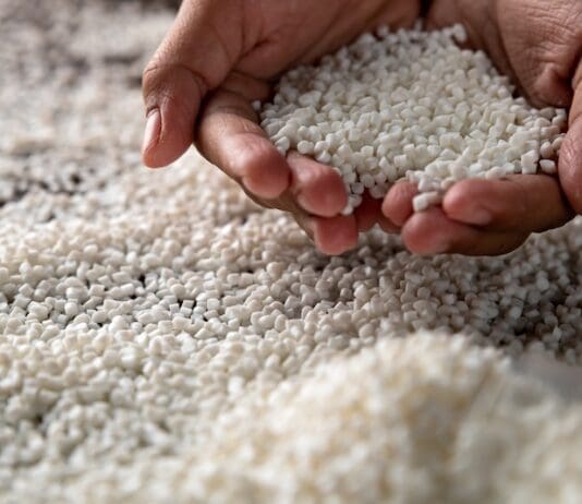 Candee.Bio & Chestnut Biopolymers tackle the issue of fossil plastics